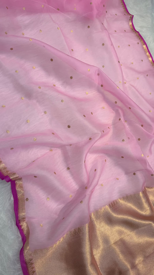 Handwoven Pure Organza Kadhua Buti Contrast Bewar Saree