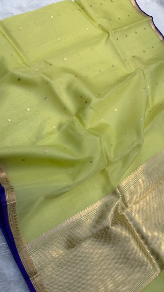 Handwoven Pure Organza Kadhua Buti Contrast Bewar Saree
