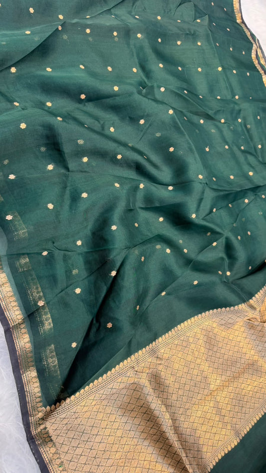 Handwoven Pure Organza Kadhua Buti Contrast Bewar Saree