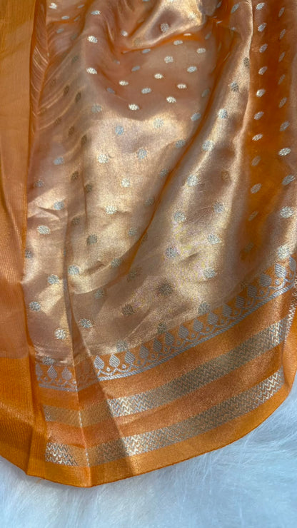 Pure Banarasi Tissue Silk Brocade Zari Mina Work Saree