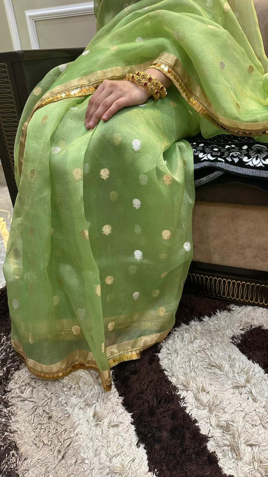 Pure Banarasi Kora Tissue Silk Saree...Light green colour