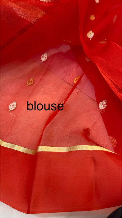 Banarasi Handloom Pure kora Organza silk saree satin border kaduwa Weaving