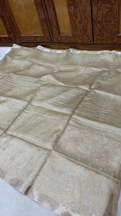 Pure organza tissue drill half half Saree