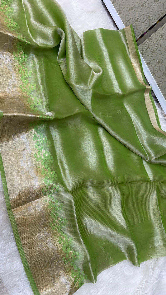 Parrot Pure Tissue silk meena border saree