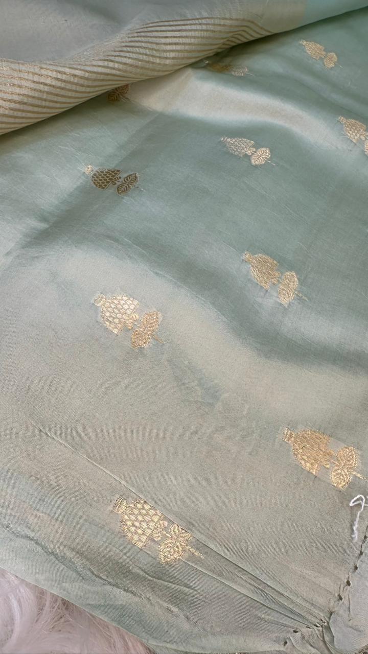 Handloom Pure Tissue Silk Fancy Design Saree